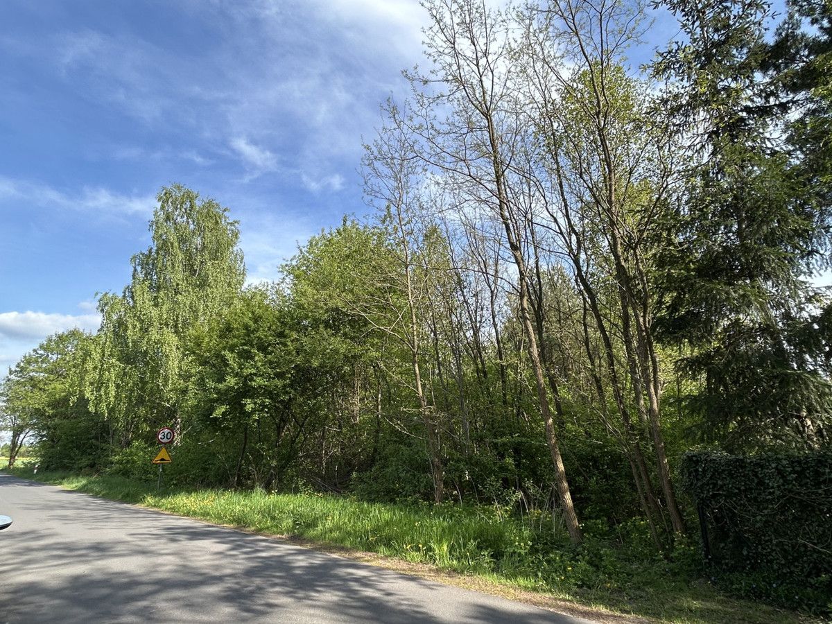 Działka budowlana Kolonia Ldzań. Zdjęcie 2