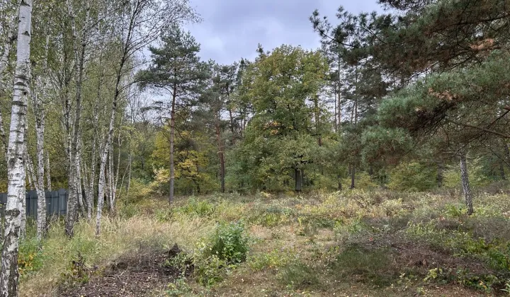 Działka Chotomów, ul. Ekologiczna