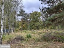 Działka Chotomów, ul. Ekologiczna