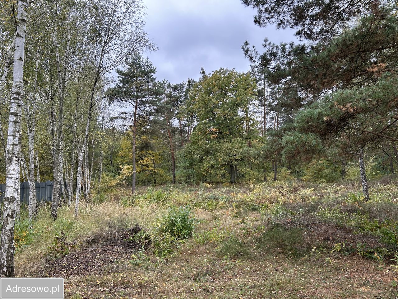 Działka Chotomów, ul. Ekologiczna