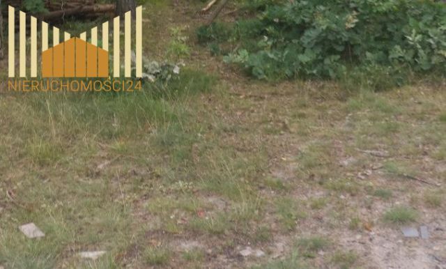 Działka rolna Boryszew. Zdjęcie 1