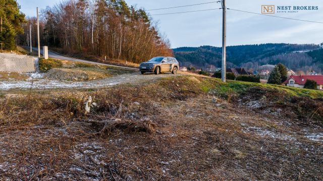 Działka budowlana Roztoka-Brzeziny. Zdjęcie 6