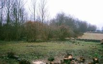 Działka siedliskowa Chrystkowo. Zdjęcie 4