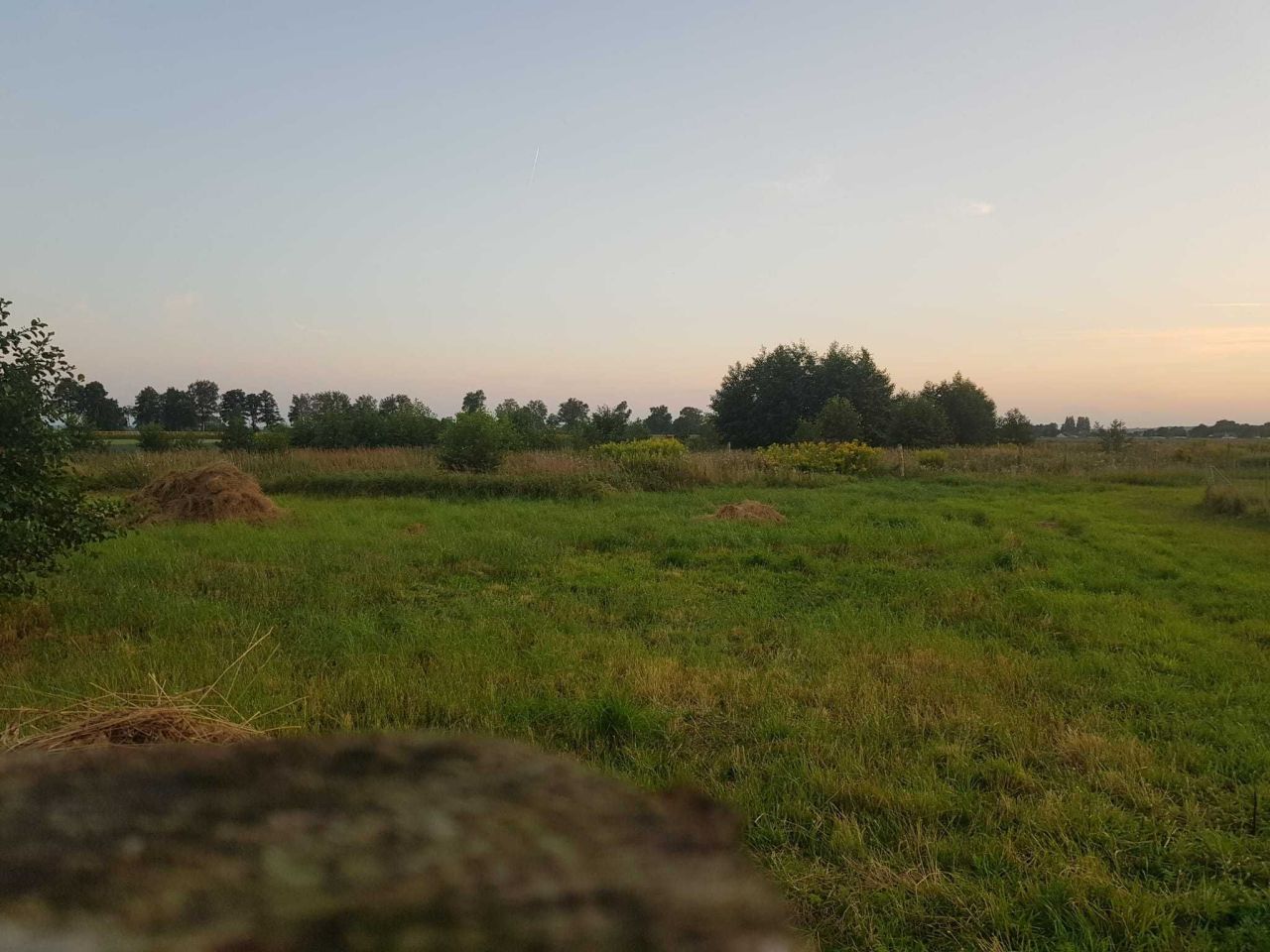 Działka rolno-budowlana Borzysławiec. Zdjęcie 5