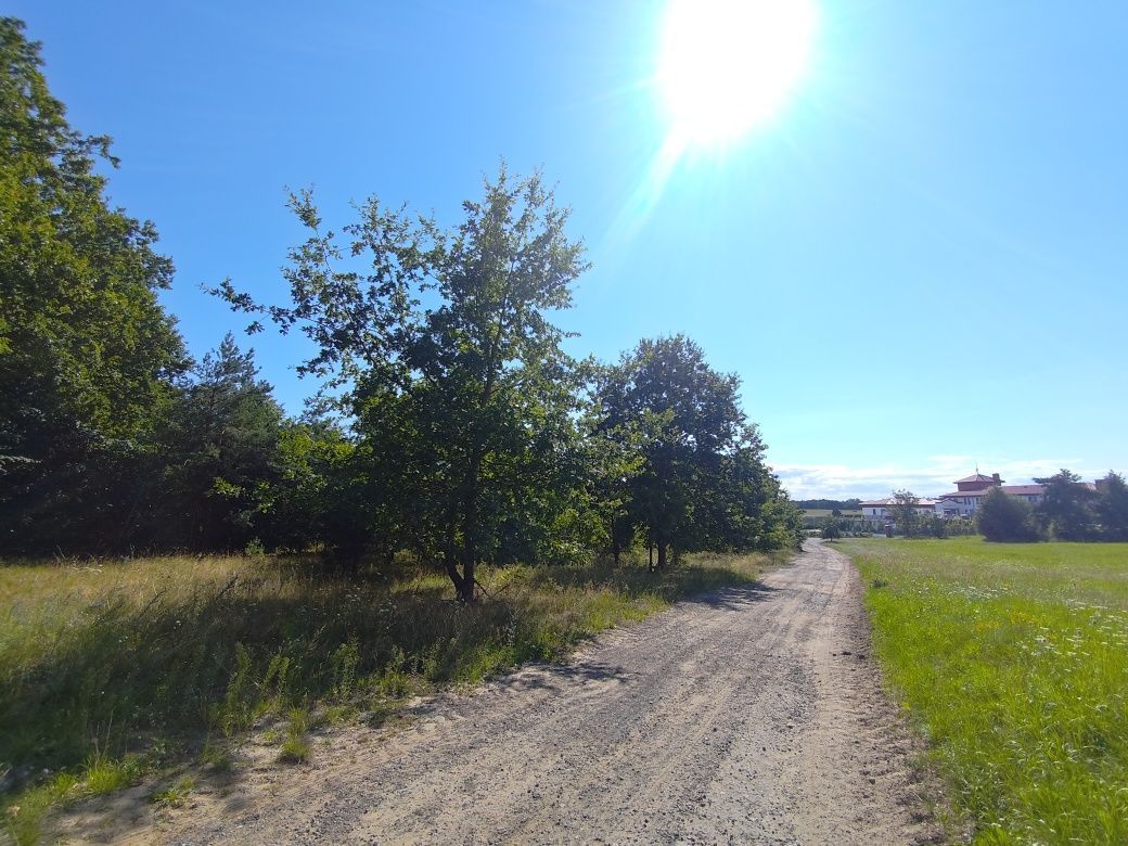 Działka budowlana Płocin. Zdjęcie 3
