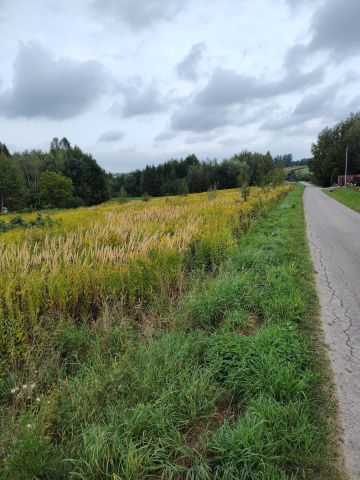Działka budowlana Głęboka Dziar, -. Zdjęcie 1