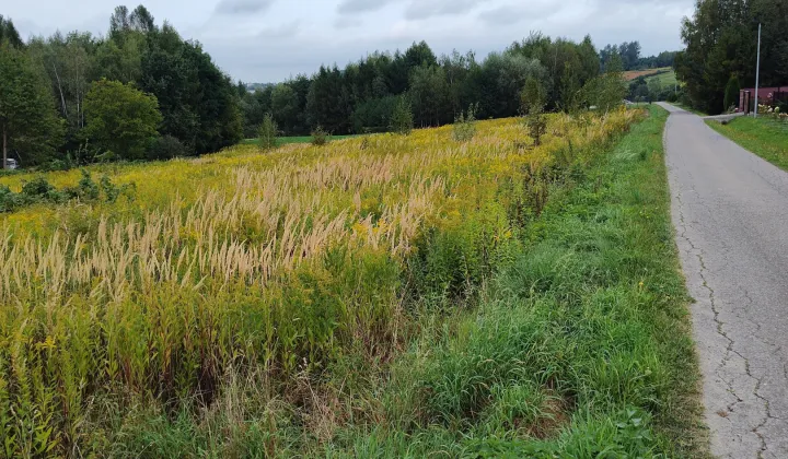 Działka budowlana Głęboka Dziar, -