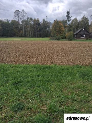 siedlisko, 2 pokoje Łużna. Zdjęcie 1