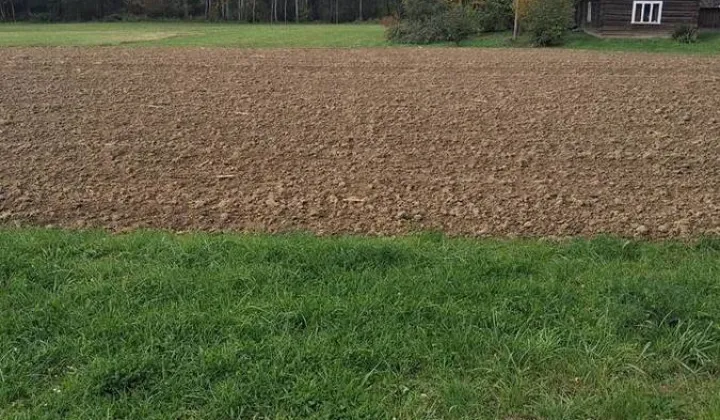 siedlisko, 2 pokoje Łużna