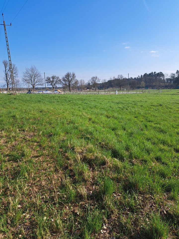 Działka rolno-budowlana Kicko. Zdjęcie 9