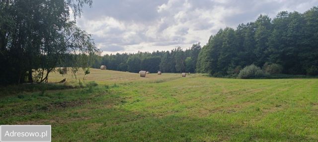 Działka budowlana Swarożyn. Zdjęcie 1