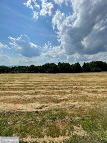 Działka budowlana Gilowice, ul. Truskawkowa. Zdjęcie 1