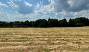 Działka budowlana Gilowice, ul. Truskawkowa
