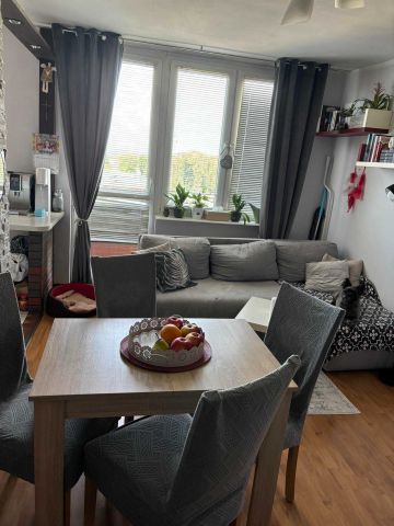 Mieszkanie 3-pokojowe Rypin, ul. Mławska. Zdjęcie 1