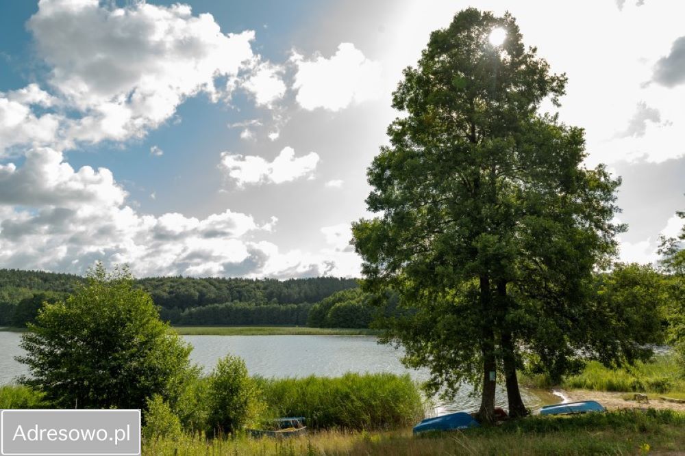 Działka budowlana Woryty. Zdjęcie 6