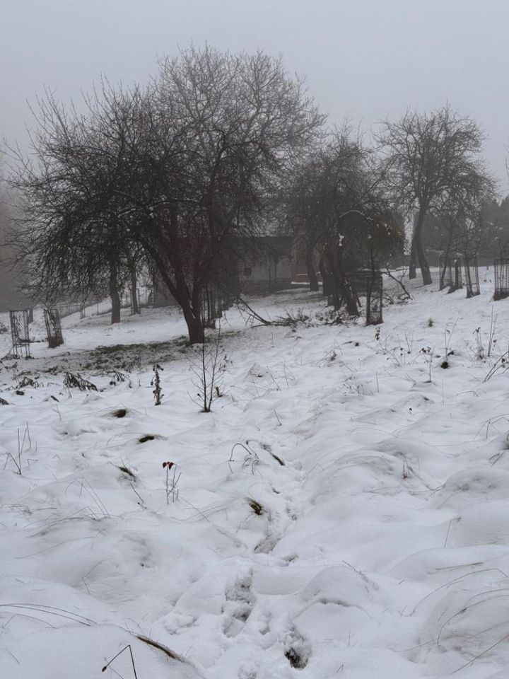 Działka budowlana Jastrzębie-Zdrój Ruptawa, ul. Matejki. Zdjęcie 8