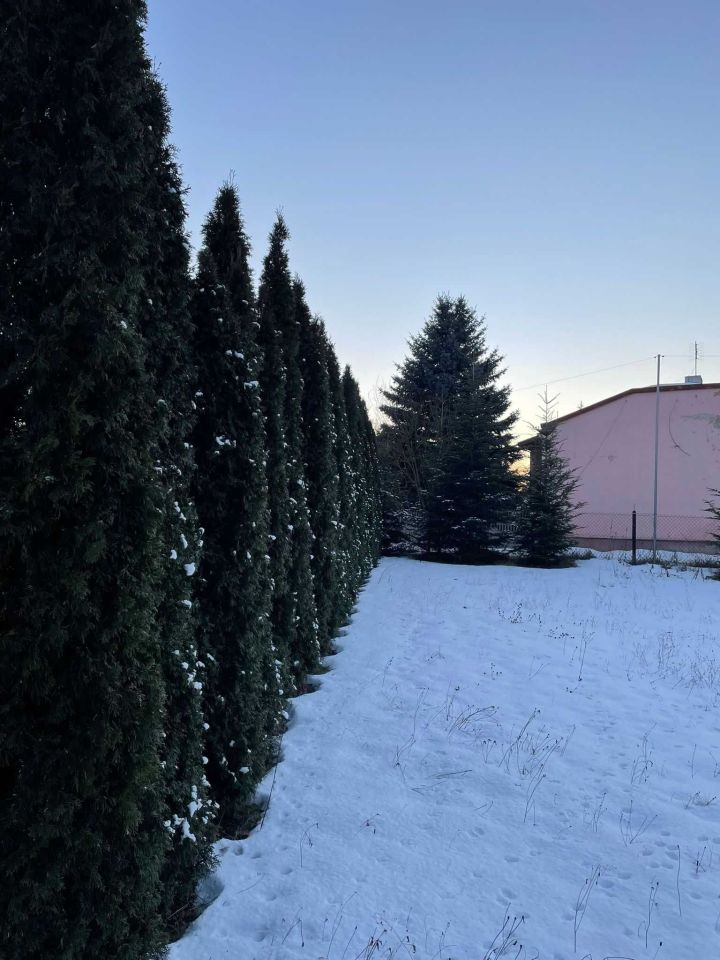 Działka budowlana Sulejów, ul. Dobra Woda. Zdjęcie 7