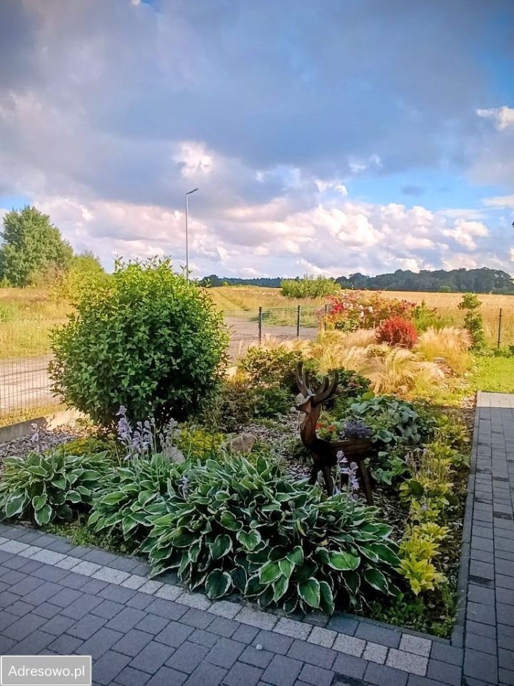 dom wolnostojący, 4 pokoje Mścice. Zdjęcie 7