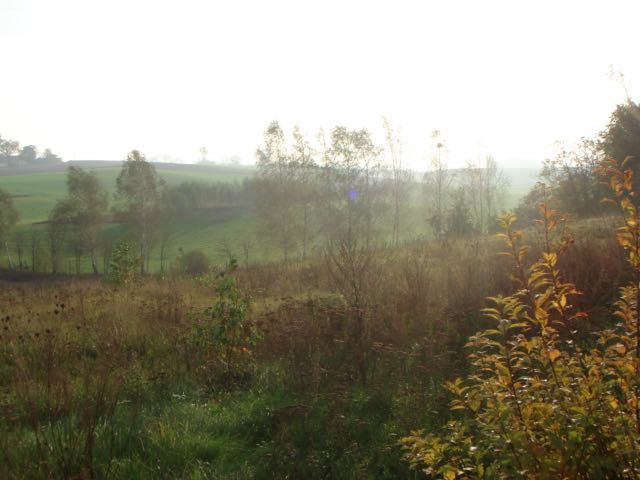 dom wolnostojący Podgórz. Zdjęcie 3