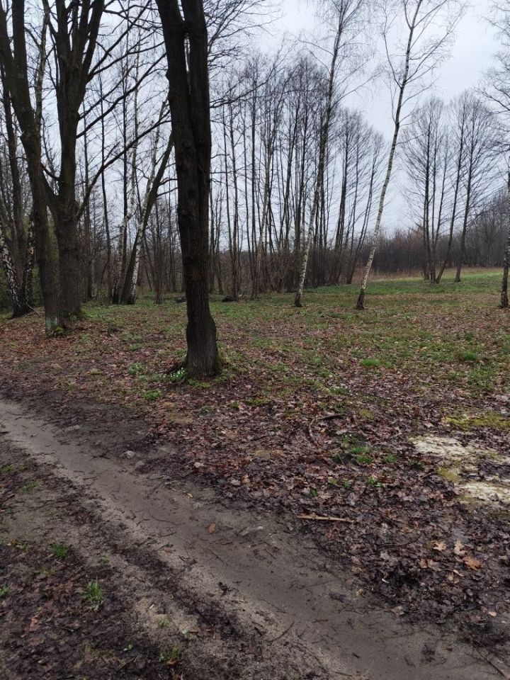 Działka budowlana Ocieka. Zdjęcie 5