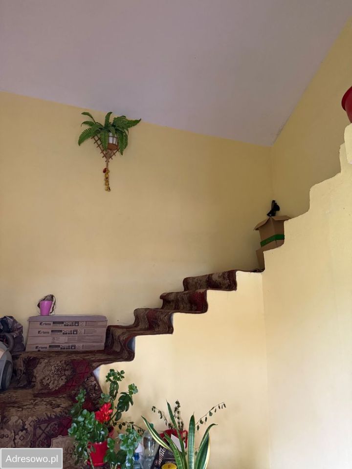 gospodarstwo, 3 pokoje Białotarsk. Zdjęcie 12