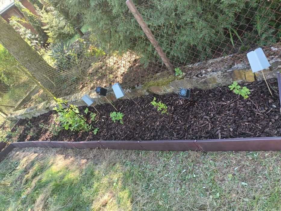 Działka rod Walendów. Zdjęcie 2