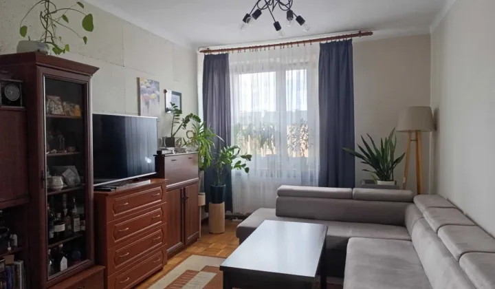 Mieszkanie 2-pokojowe Wierzbica, ul. Janka Krasickiego