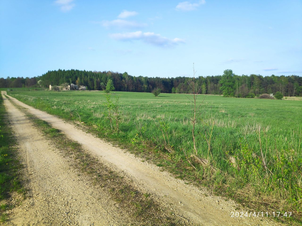 Działka rolno-budowlana Chruszczobród, ul. Cmentarna. Zdjęcie 5