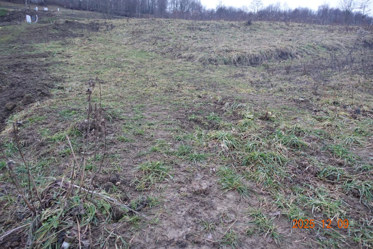 Działka budowlana Golkowice Zarzecze. Zdjęcie 2