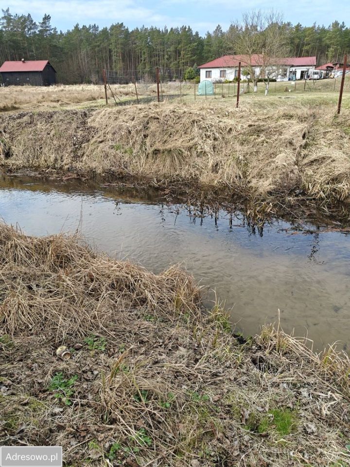 Działka rolna Górnica. Zdjęcie 8