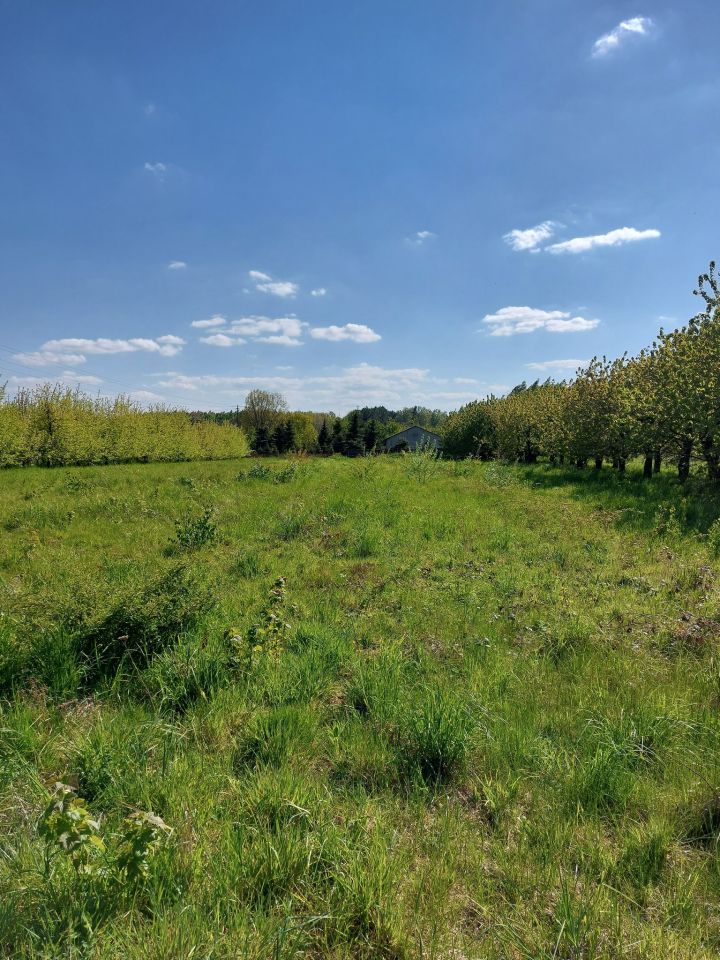 Działka siedliskowa Suszeniec, ul. Graniczna. Zdjęcie 8
