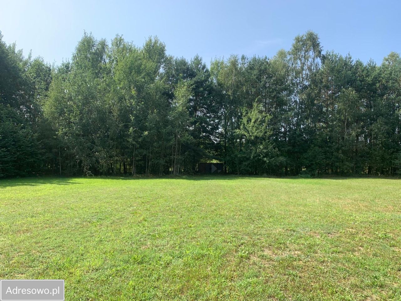 Działka rolno-budowlana Nowe Zawady. Zdjęcie 8