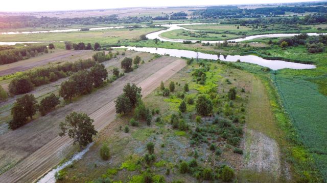 Działka budowlana Czarnów. Zdjęcie 5