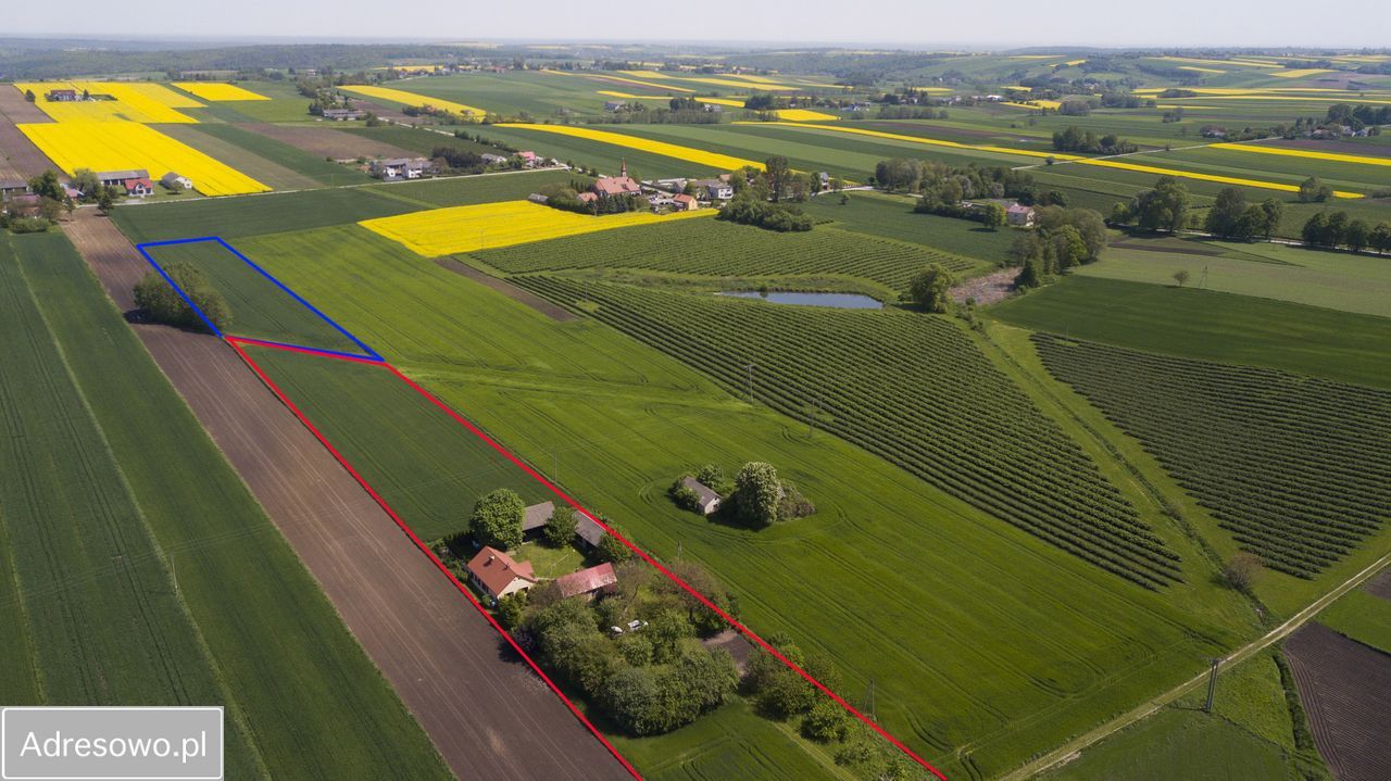 siedlisko, 3 pokoje Boleszyn Boleszyn-Kolonie. Zdjęcie 11