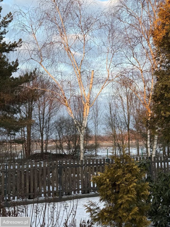 siedlisko, 3 pokoje Wrzępia. Zdjęcie 10