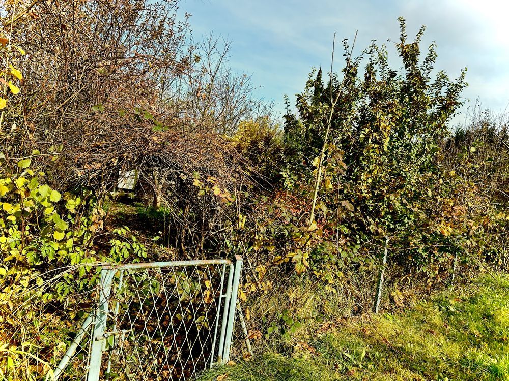 Działka rod Lądek-Zdrój. Zdjęcie 7