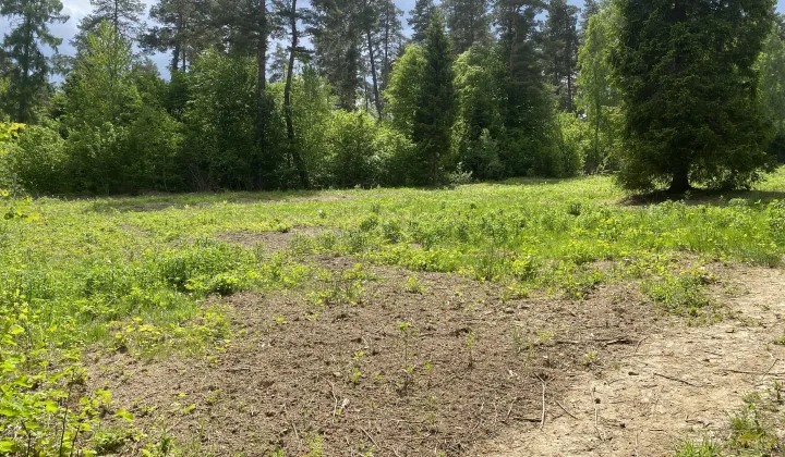 Działka budowlana Berezka