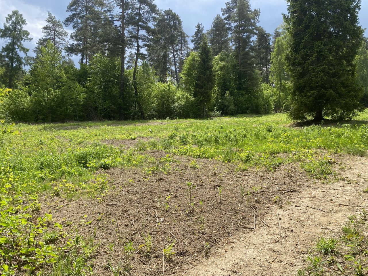 Działka budowlana Berezka. Zdjęcie 1