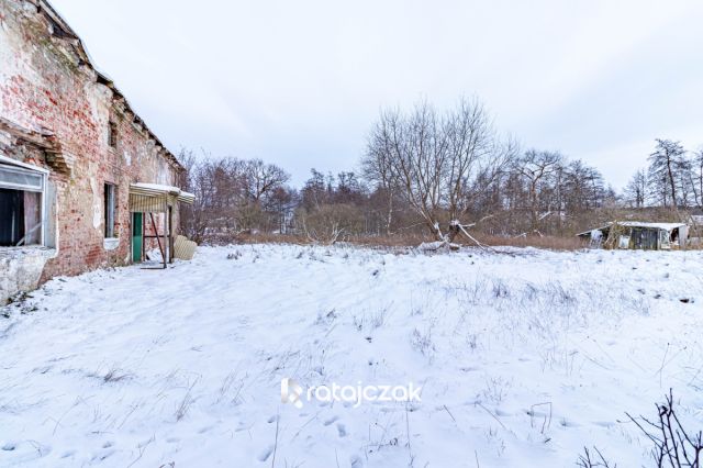 Działka rolna Wrzeście. Zdjęcie 10