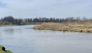 Działka leśna Biała Góra