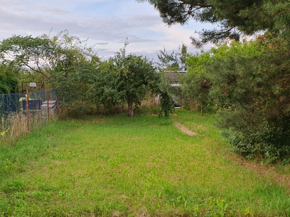 Działka rod Opole Zaodrze. Zdjęcie 6