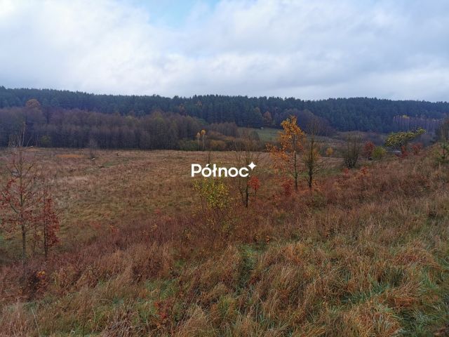 Działka Studzianki, ul. Polonijna. Zdjęcie 4