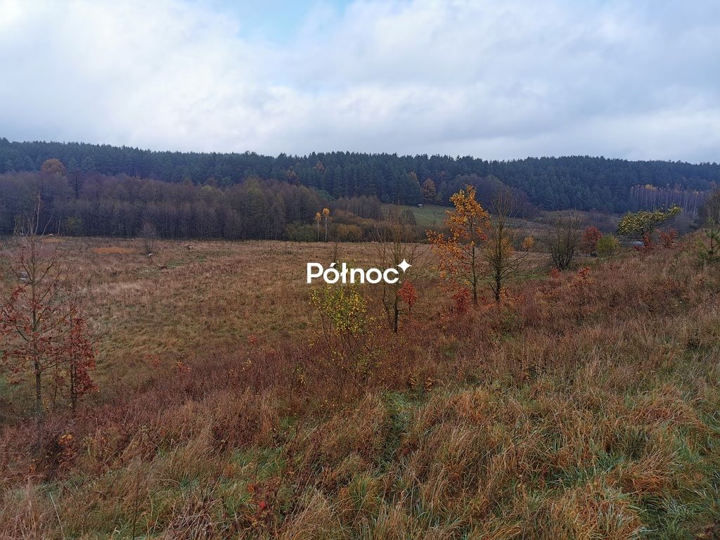 Działka Studzianki, ul. Polonijna. Zdjęcie 4