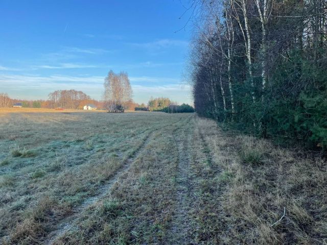 Działka rolno-budowlana Zielkowice Kępy, Kępy. Zdjęcie 3