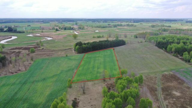 Działka rolno-budowlana Cieciory. Zdjęcie 1