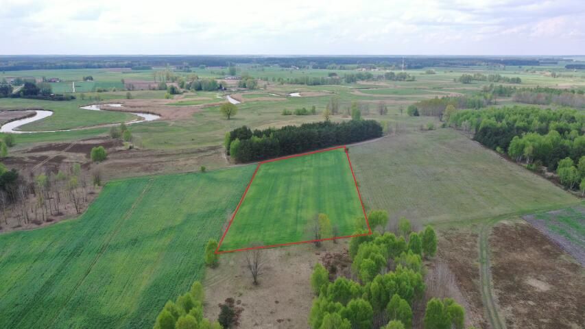 Działka rolno-budowlana Cieciory. Zdjęcie 1