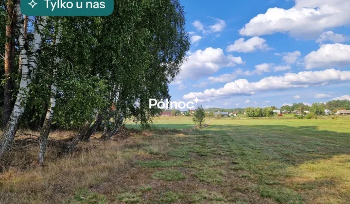 Działka leśna Krynickie