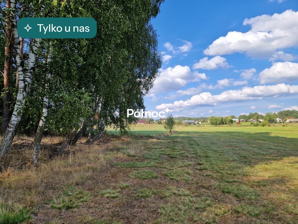 Działka leśna Krynickie. Zdjęcie 1