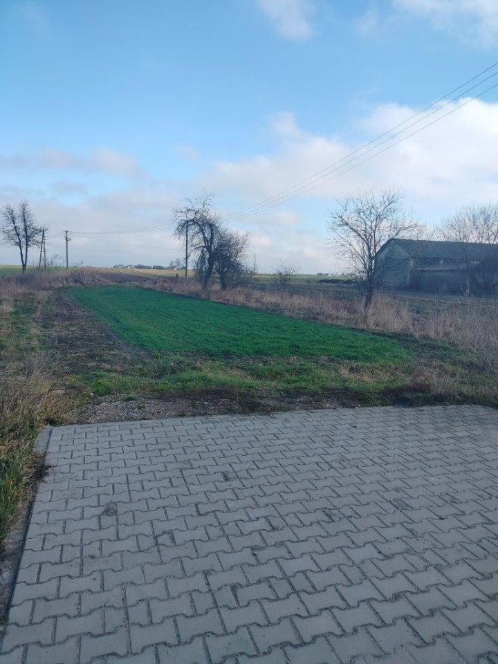 Działka rolno-budowlana Mirów Nowy. Zdjęcie 6