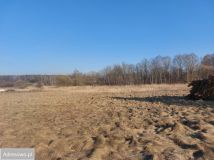 Działka budowlana Chruszczobród. Zdjęcie 3